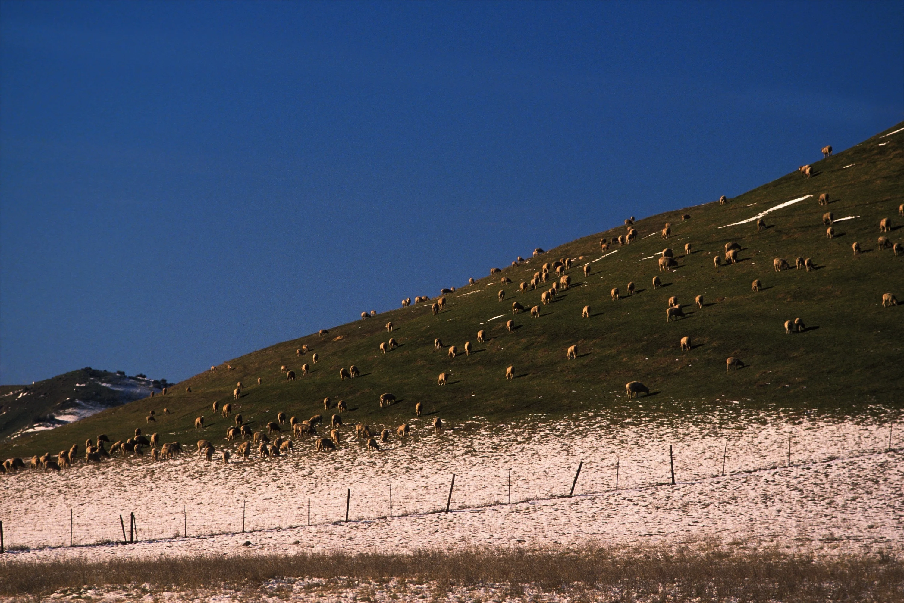 Cover Image of the Post